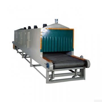 Onion Hot Air Steam Dryer/Mesh Belt Drying Machine